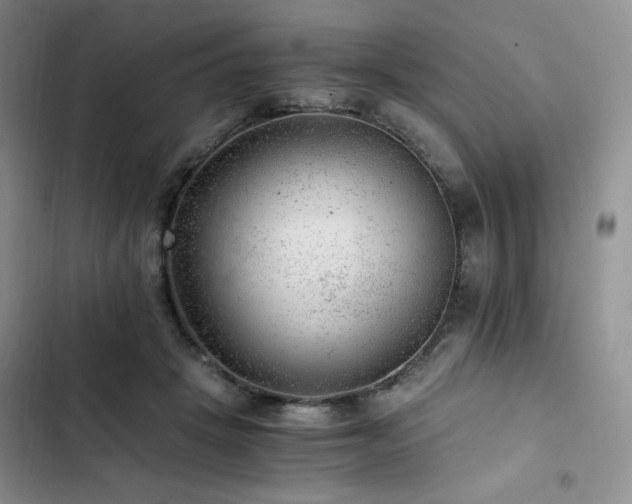 X0000103160457200808221358