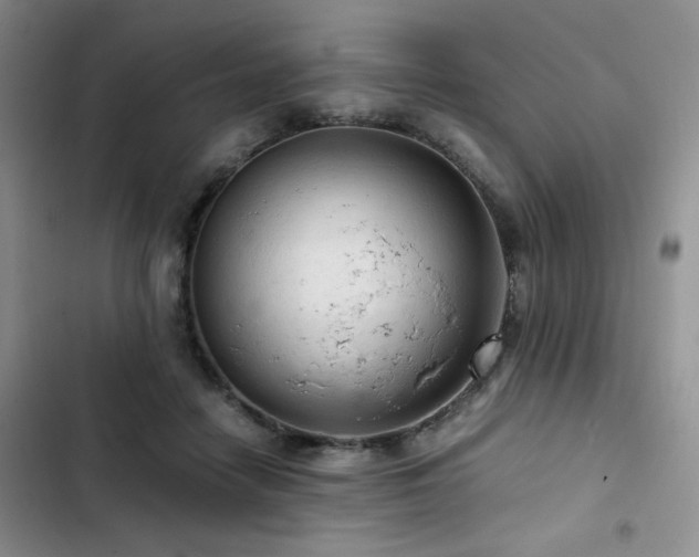 X0000103160458200808221358