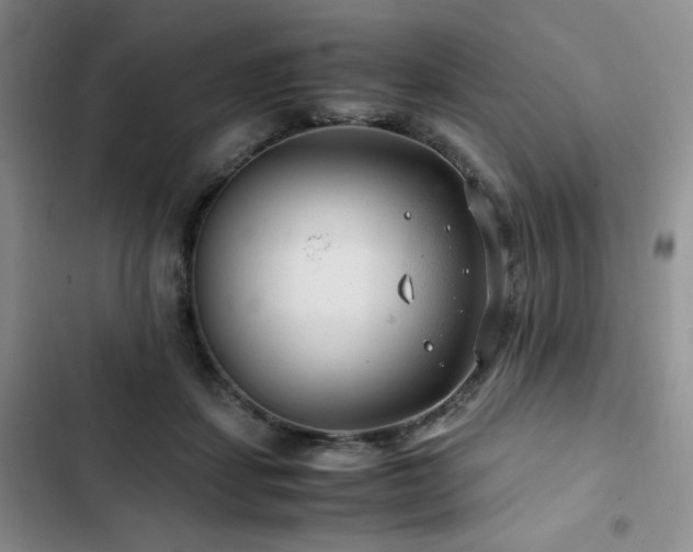 X0000103160459200808221358