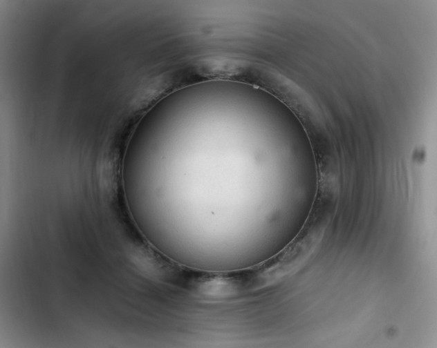 X0000103160460200808221358
