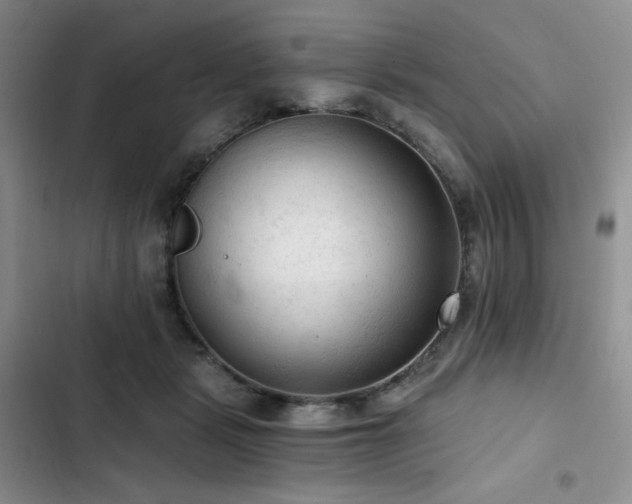 X0000103160461200808221358