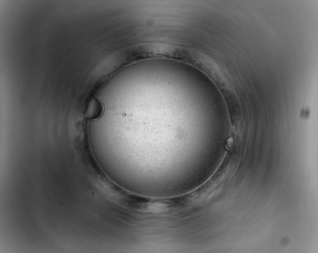 X0000103160462200808221358
