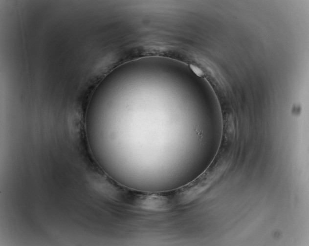 X0000103160463200808221358