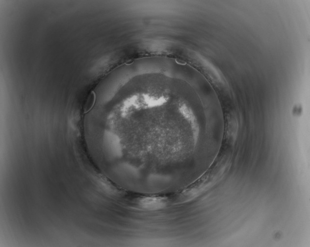 X0000103160465200808221358