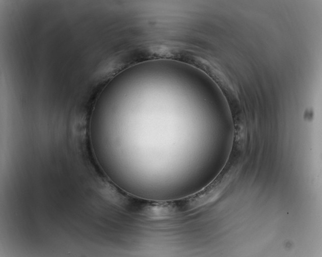 X0000103160466200808221358