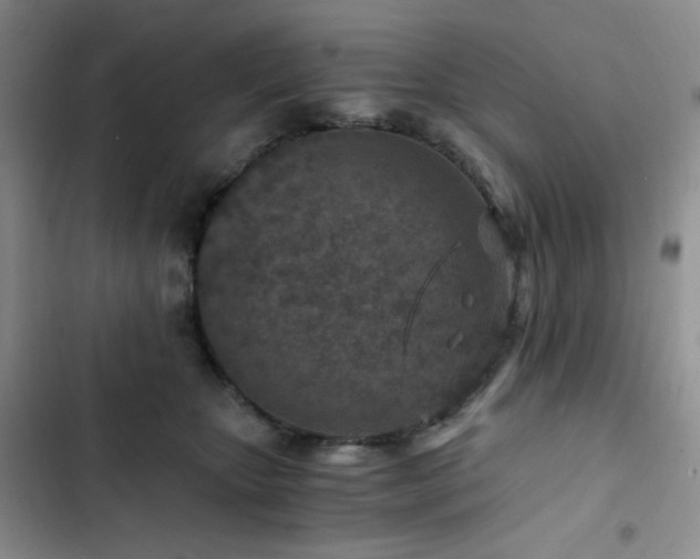X0000103160467200808221358