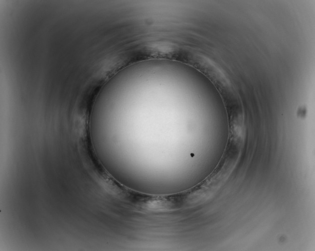 X0000103160468200808221358