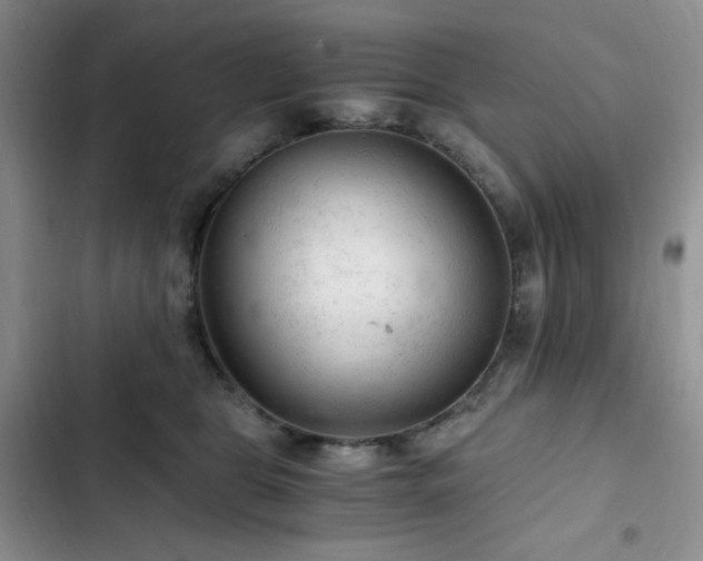 X0000103160469200808221358