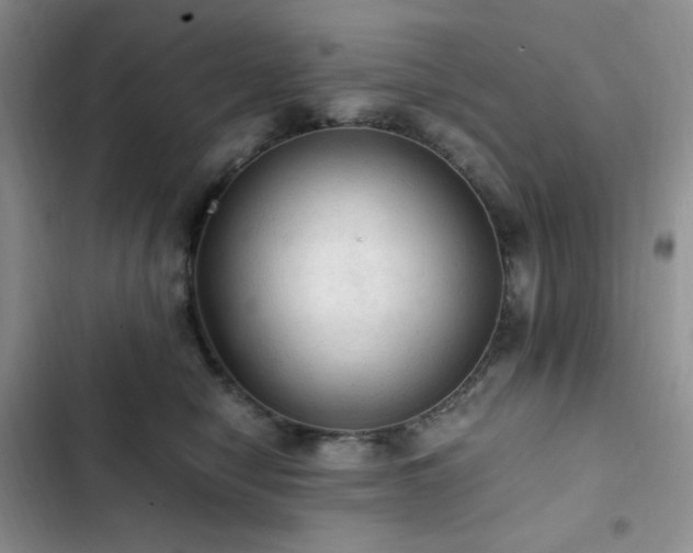 X0000103160470200808221358