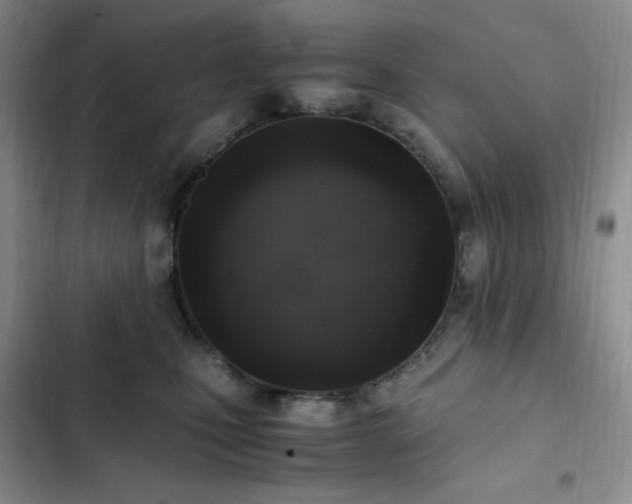 X0000103160471200808221358