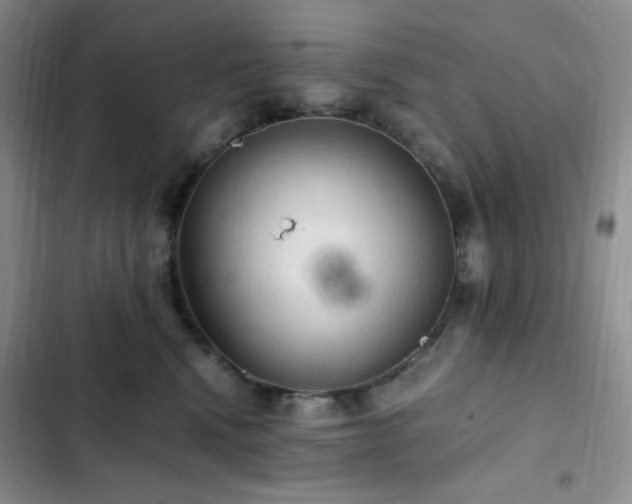 X0000103160472200808221358