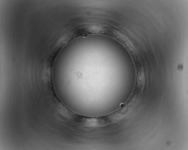 X0000103160473200808221358