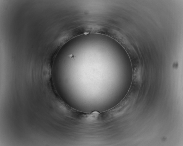 X0000103160474200808221358