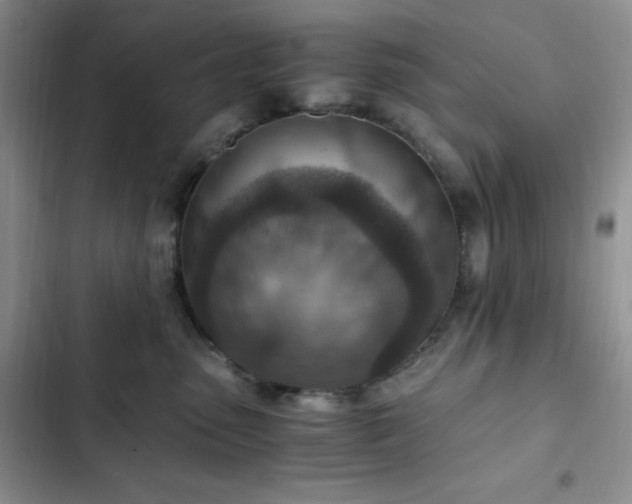 X0000103160475200808221358