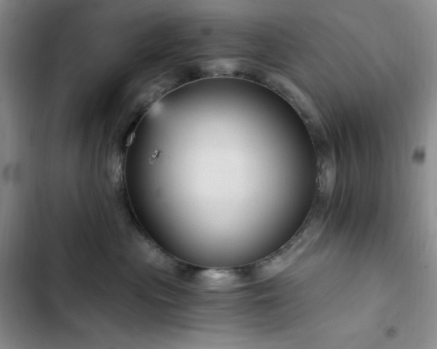 X0000103160477200808221358