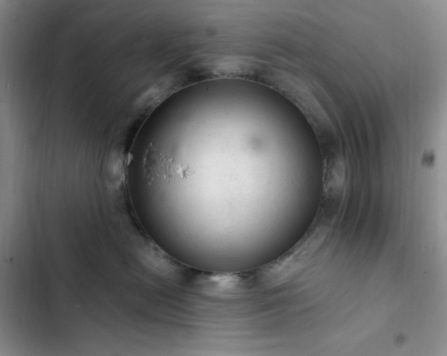 X0000103160478200808221358