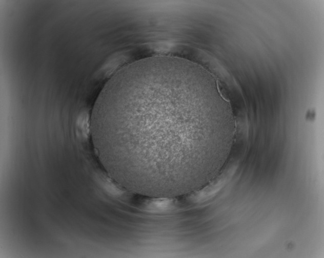 X0000103160479200808221358