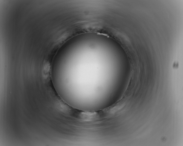 X0000103160480200808221358