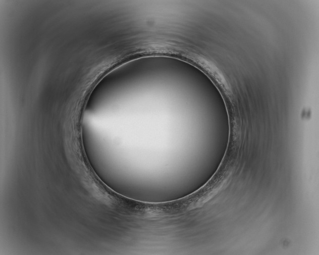 X0000103160481200808221358