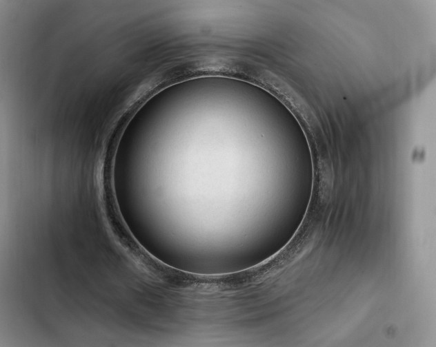 X0000103160482200808221358