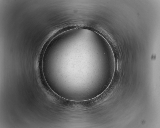 X0000103160483200808221358