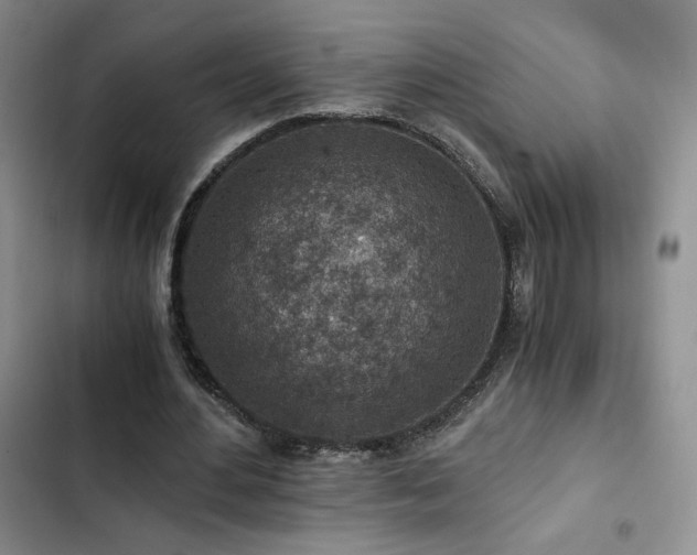 X0000103160484200808221358