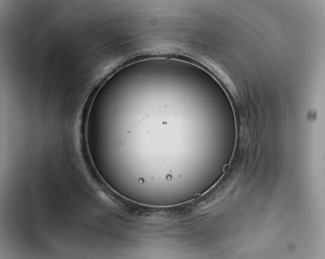 X0000103160485200808221357