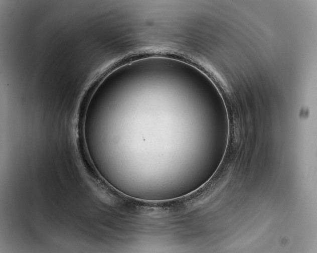 X0000103160486200808221357