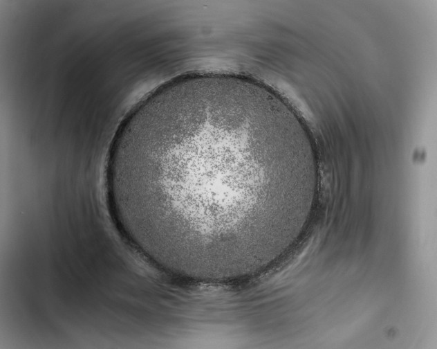 X0000103160487200808221357
