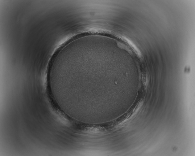 X0000103160488200808221357