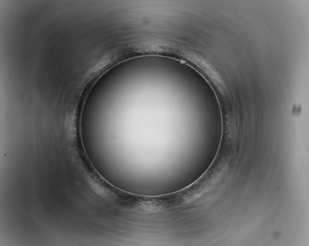 X0000103160489200808221357