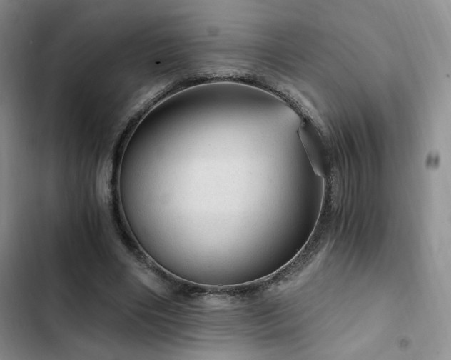 X0000103160490200808221357