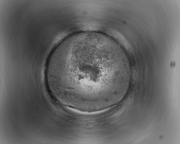 X0000103160491200808221357
