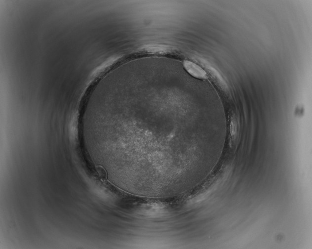 X0000103160492200808221357