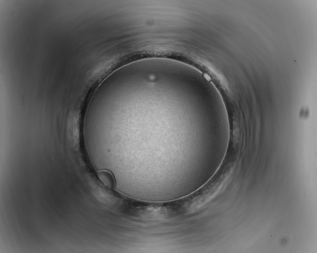 X0000103160493200808221357