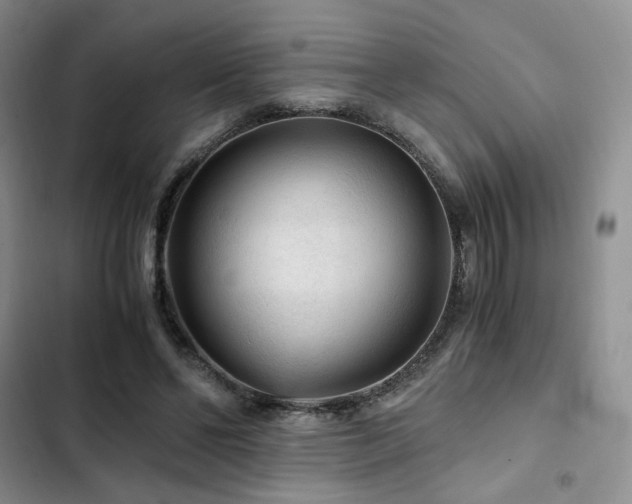 X0000103160494200808221357