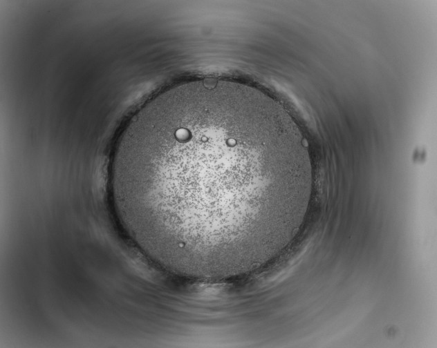 X0000103160495200808221357