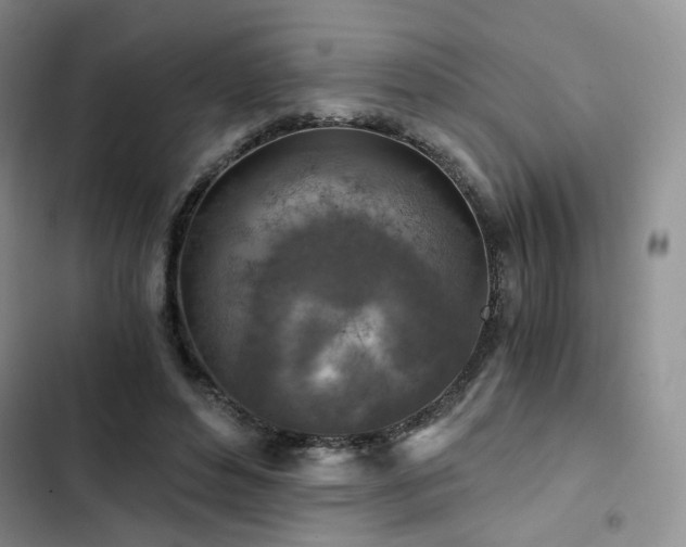 X0000103160496200808221357