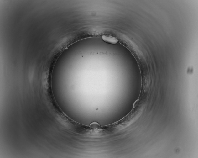 X0000103160497200808221357