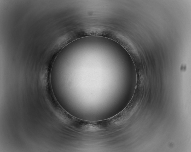 X0000103160498200808221357
