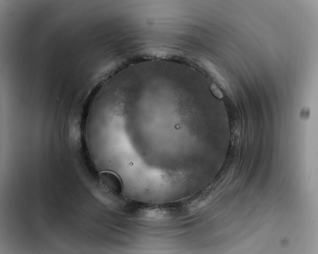 X0000103160500200808221357