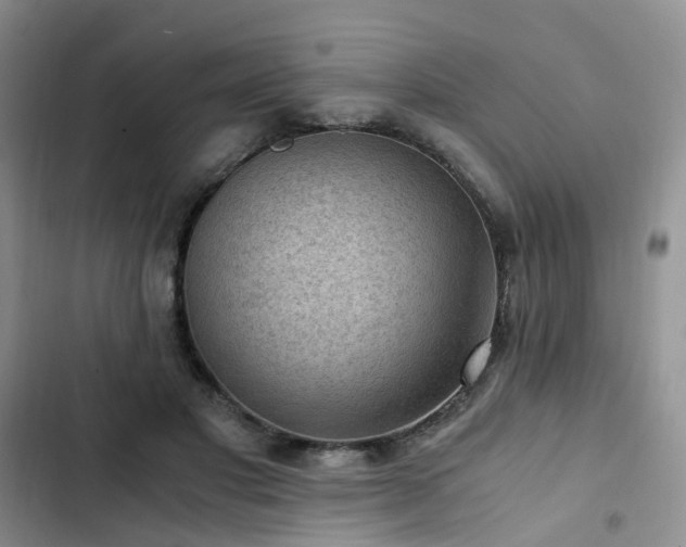 X0000103160501200808221357