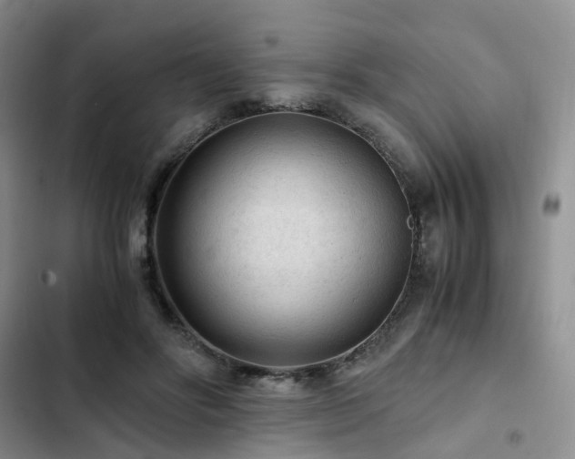 X0000103160502200808221357