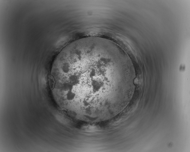 X0000103160503200808221357