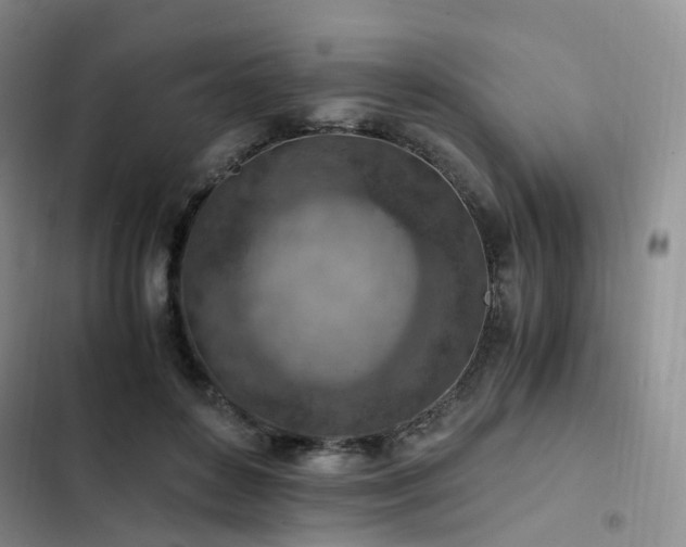 X0000103160504200808221357