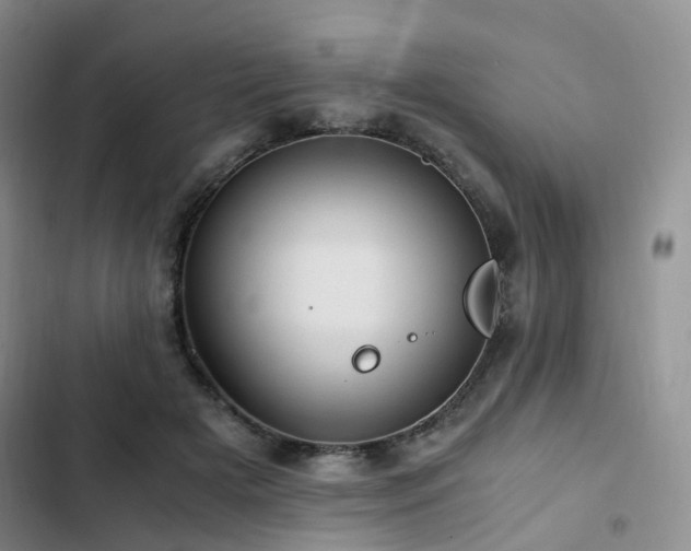 X0000103160505200808221357