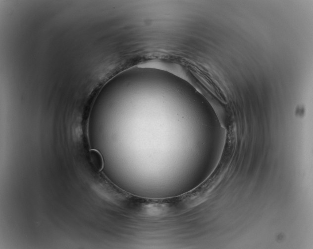 X0000103160508200808221357