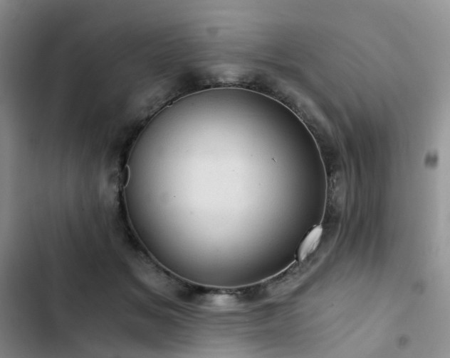 X0000103160509200808221357