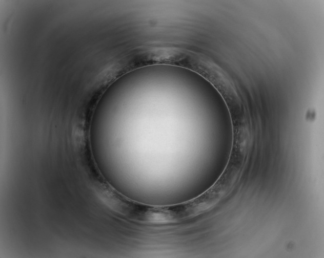 X0000103160510200808221357