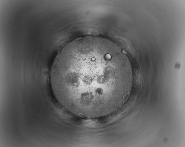 X0000103160511200808221357